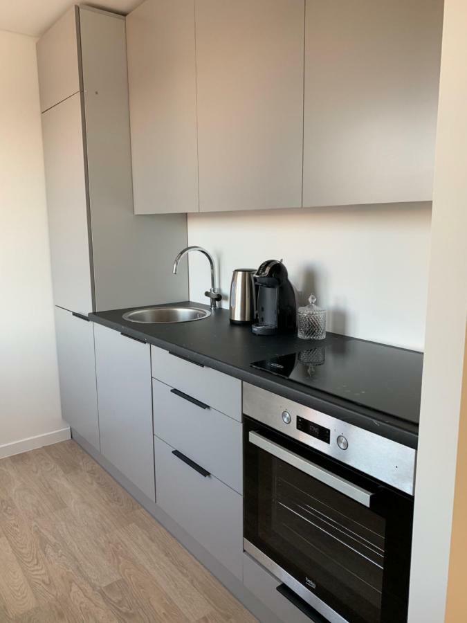 Good Night Apartaments Panevėžys Dış mekan fotoğraf
